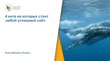 4 кита на которых стоит любой успешный сайт