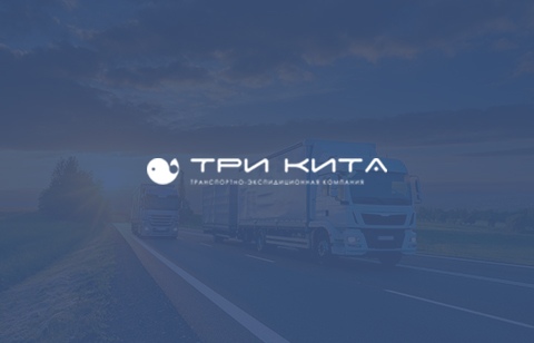 Разработка мобильного приложения для транспортно-экспедиционной компании “Три Кита”